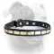 (image for) Leather Special American Bulldog Collar With Plates