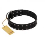(image for) "Dark Night" Handmade FDT Artisan Black Leather Dog Collar with Silver-Like Studs