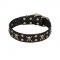 (image for) 'Jolly Rojer' FDT Artisan American Bulldog Leather Dog Collar with Pirate Skulls and Studs