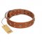 (image for) "Dreamy Gleam" FDT Artisan Tan Leather American Bulldog Collar Adorned with Stars and Squares