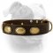 (image for) Retro rulz vintage leather American Bulldog collar