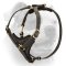 (image for) Elegant Leather Padded American Bulldog Harness