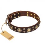(image for) 'Flower Melody' FDT Artisan Brown Leather American Bulldog Collar with Mixed Studs