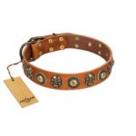 (image for) "Golden Epoch" FDT Artisan Tan Leather American Bulldog Collar with Old Bronze-plated Medallions and Conchos