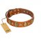 (image for) "Crystal Sand" FDT Artisan Tan Leather American Bulldog Collar with Vintage Looking Oval and Round Studs