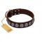 (image for) "Charming Circles" FDT Artisan Brown Leather American Bulldog Collar with Silver-like Studs