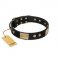 (image for) "Antique Gloss" FDT Artisan Black Leather American Bulldog Collar with Bronze-like Plates and Small Studs