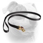 (image for) Deluxe Nylon Lead with Swivel Snap for American Bulldog