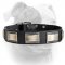 (image for) Gorgeous Looking Design Leather American Bulldog Collar With Nickel Plates