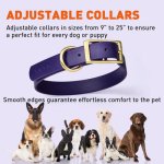 (image for) Viper Biothane Collar with Brass Hardware_13
