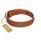 (image for) "Foxy Nature" FDT Artisan Tan Leather American Bulldog Collar with Chrome Plated Brooches