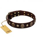 (image for) "Snazzy Paws" FDT Artisan Brown Leather American Bulldog Collar Adorned with Conchos and Medallions