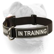 (image for) American Bulldog Identity Collar - Nylon Collar With Patches