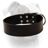 (image for) American Bulldog Leather Collar for Long Walking
