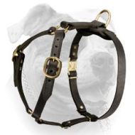(image for) American Bulldog Leather Dog Harness for walking, training,working