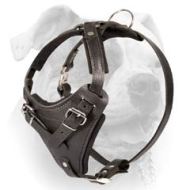 (image for) American Bulldog Leather Wide Chest Harness
