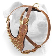 (image for) Stylish Leather Harness For American Bulldog