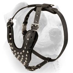 (image for) Y-shape Leather Harness For American Bulldog