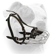 (image for) Basket Wire Dog Muzzle Light For American Bulldog