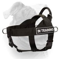 (image for) American Bulldog Nylon Harness for Professional Training