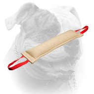 (image for) Huge American Bulldog bite tag with two sturdy handles