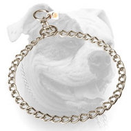 (image for) Stainless steel choke American Bulldog collar with quality label