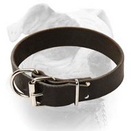 (image for) Classic Style Leather Dog Collar for American Bulldog Breed