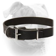 (image for) Casual Style Leather Collar For American Bulldog Breed