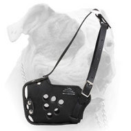 (image for) Military dogs training leather muzzle for American Bulldog