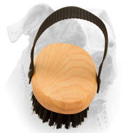 (image for) Bristle brush for American Bulldog everyday grooming