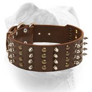 (image for) Spiky Leather Collar For American Bulldog