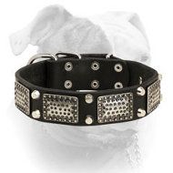 (image for) War-like leather American Bulldog collar with massive vintage plates and pyramids