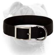 (image for) All Seasons Collar for Everyday Walking and Playing