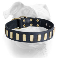 (image for) Exclusive Handmade Fashionable Dog Collar For American Bulldog