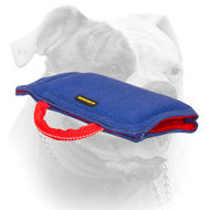 (image for) Efficient training American Bulldog puppy bite sleeve