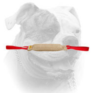 (image for) Dog safe jute bite tug for American Bulldog