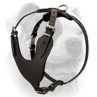 (image for) Heavy Duty Dog Harness for American Bulldog