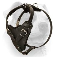 (image for) Agitation / Protection Leather Dog Harness for American Bulldog