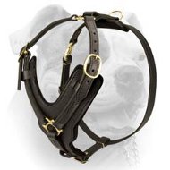 (image for) Exclusive Luxury Handcrafted Padded Leather Dog Harness