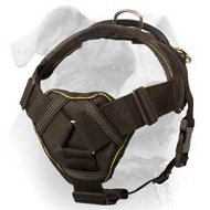 All In One Best Choice Nylon Harness For American Bulldog H12 1095 Multifunctional Nylon Harness American Bulldog Harness American Bulldog Muzzle American Bulldog Collar Dog leashes Dog training colla...