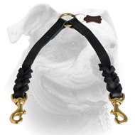 (image for) Braided Leather Coupler Leash for Walking 2 Dogs