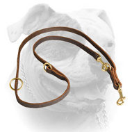 (image for) Genuine quality leather leash for training and walking American Bulldog