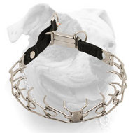 (image for) Stainless steel American Bulldog pinch prong collar with click lock buckle and nylon loop