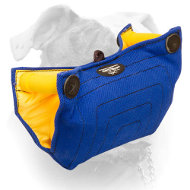 (image for) French Linen American Bulldog puppy and young dog bite builder