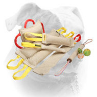(image for) Jute bite tugs training set for American Bulldog