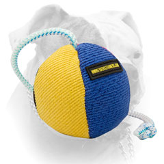 American Bulldog training ball stitched surface