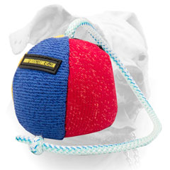 Training ball for American Bulldog for active prey drive