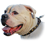 (image for) Vintage Decorative Leather Collar For American Bulldog