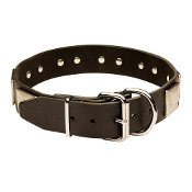 (image for) American Bulldog leather dog collar & vintage massive plates