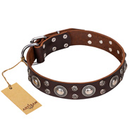 (image for) 'Age of Beauty' FDT Artisan Incredible Studded Brown Leather American Bulldog Collar